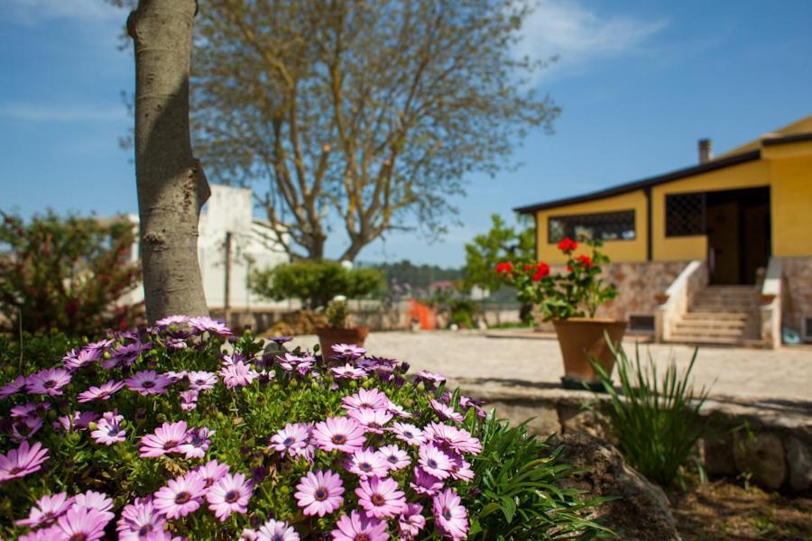 Villa Marida Gioia Del Colle Exterior foto